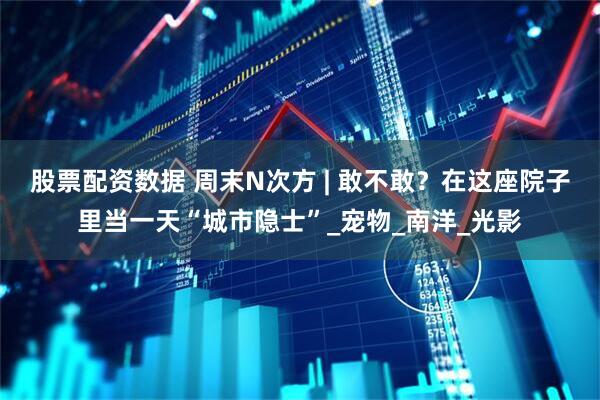股票配资数据 周末N次方 | 敢不敢？在这座院子里当一天“城市隐士”_宠物_南洋_光影