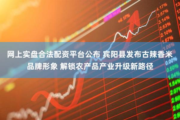 网上实盘合法配资平台公布 宾阳县发布古辣香米品牌形象 解锁农产品产业升级新路径