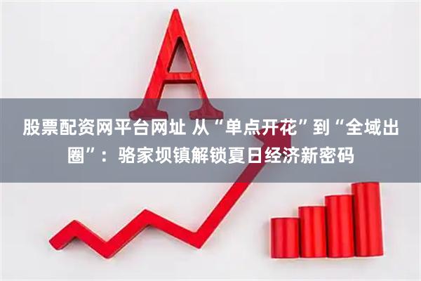 股票配资网平台网址 从“单点开花”到“全域出圈”：骆家坝镇解锁夏日经济新密码